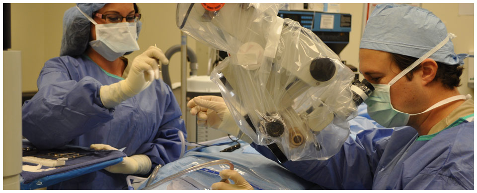 Nevada Ear + Sinus Institute Surgery